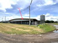 https://lopburi.ohoproperty.com/215362/ธนาคารกสิกรไทย/ขายฟาร์ม/โคกสลุง/พัฒนานิคม/ลพบุรี/